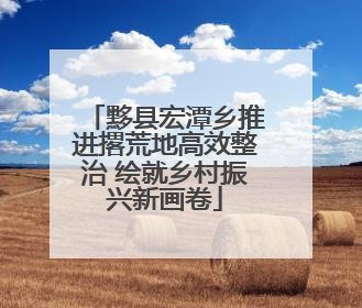 黟县宏潭乡推进撂荒地高效整治 绘就乡村振兴新画卷