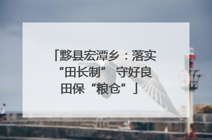 黟县宏潭乡：落实“田长制” 守好良田保“粮仓”
