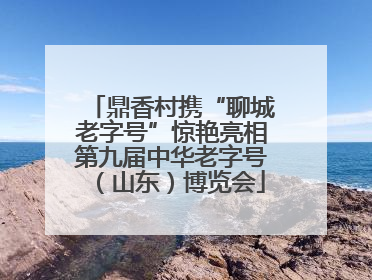 鼎香村携“聊城老字号”惊艳亮相第九届中华老字号（山东）博览会