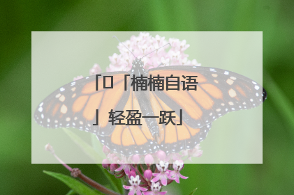 ﻿「楠楠自语」轻盈一跃