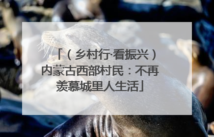（乡村行·看振兴）内蒙古西部村民：不再羡慕城里人生活