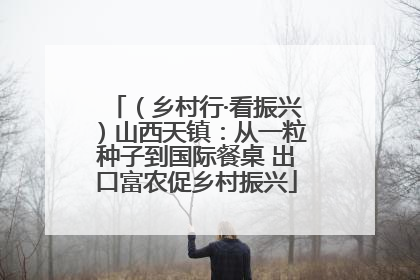 （乡村行·看振兴）山西天镇：从一粒种子到国际餐桌 出口富农促乡村振兴