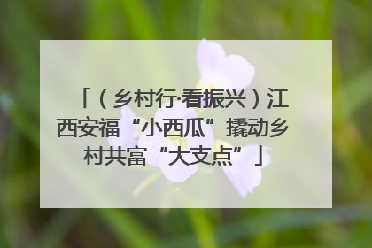 （乡村行·看振兴）江西安福“小西瓜”撬动乡村共富“大支点”