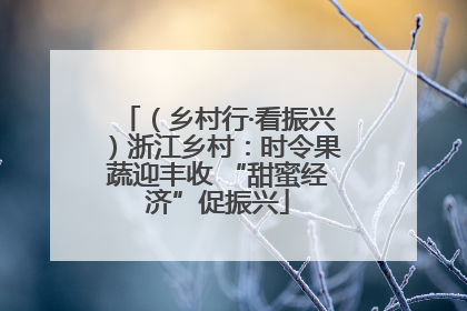 （乡村行·看振兴）浙江乡村：时令果蔬迎丰收 “甜蜜经济”促振兴