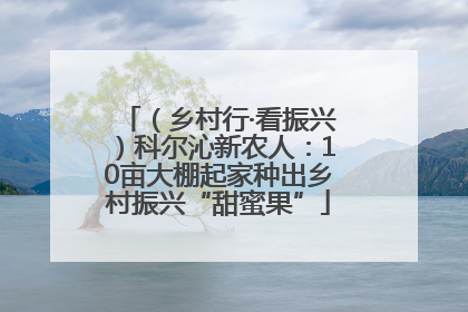 （乡村行·看振兴）科尔沁新农人：10亩大棚起家种出乡村振兴“甜蜜果”