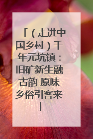 （走进中国乡村）千年元坑镇：旧矿新生融古韵 原味乡俗引客来