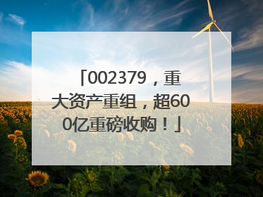 002379，重大资产重组，超600亿重磅收购！