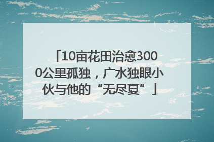 10亩花田治愈3000公里孤独，广水独眼小伙与他的“无尽夏”