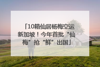 10箱仙居杨梅空运新加坡！今年首批“仙梅”抢“鲜”出国