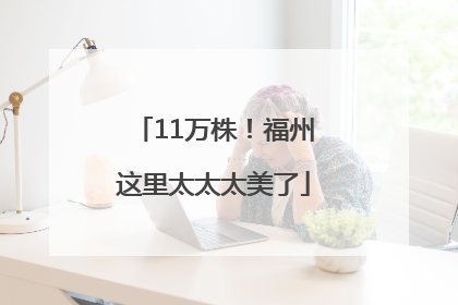 11万株！福州这里太太太美了