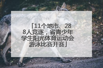 11个地市、288人竞逐，省青少年学生阳光体育运动会游泳比赛开赛