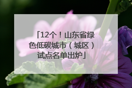 12个！山东省绿色低碳城市（城区）试点名单出炉
