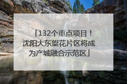132个重点项目！沈阳大东望花片区将成为产城融合示范区