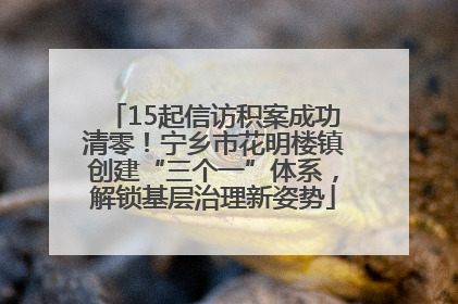 15起信访积案成功清零！宁乡市花明楼镇创建“三个一”体系，解锁基层治理新姿势