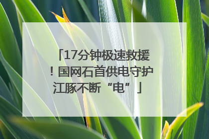 17分钟极速救援！国网石首供电守护江豚不断“电”
