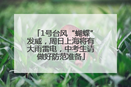 1号台风“蝴蝶”发威，周日上海将有大雨雷电，中考生请做好防范准备