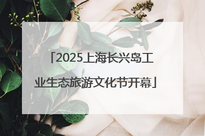 2025上海长兴岛工业生态旅游文化节开幕