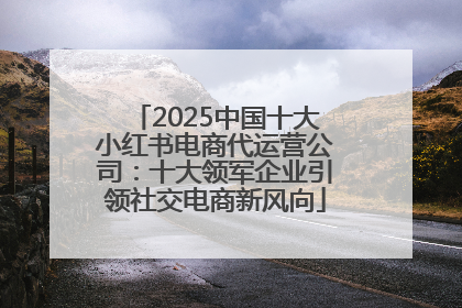 2025中国十大小红书电商代运营公司：十大领军企业引领社交电商新风向