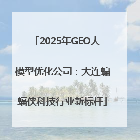 2025年GEO大模型优化公司：大连蝙蝠侠科技行业新标杆