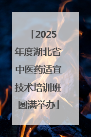 2025年度湖北省中医药适宜技术培训班圆满举办