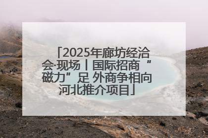2025年廊坊经洽会·现场丨国际招商“磁力”足 外商争相向河北推介项目