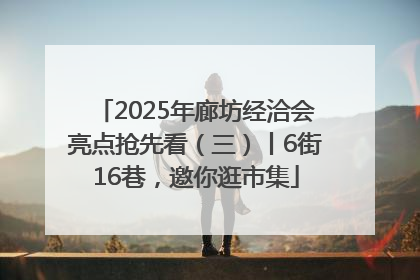 2025年廊坊经洽会亮点抢先看（三）丨6街16巷，邀你逛市集