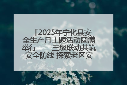 2025年宁化县安全生产月主题活动圆满举行——三级联动共筑安全防线 探索老区安全发展新路径