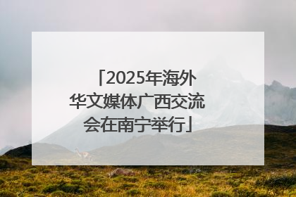 2025年海外华文媒体广西交流会在南宁举行