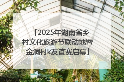 2025年湖南省乡村文化旅游节联动地暨金洞村k友谊赛启幕