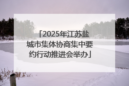 2025年江苏盐城市集体协商集中要约行动推进会举办