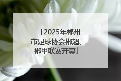 2025年郴州市足球协会郴超、郴甲联赛开幕