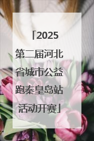 2025第二届河北省城市公益跑秦皇岛站活动开赛