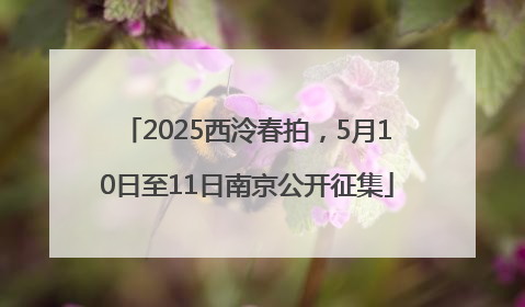 2025西泠春拍，5月10日至11日南京公开征集