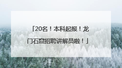 20名！本科起报！龙门石窟招聘讲解员啦！