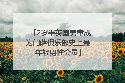 2岁半英国男童成为门萨俱乐部史上最年轻男性会员