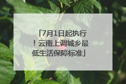 7月1日起执行！云南上调城乡最低生活保障标准