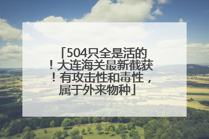 504只全是活的！大连海关最新截获！有攻击性和毒性，属于外来物种