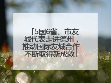 5国6省、市友城代表走进德州，推动国际友城合作不断取得新成效