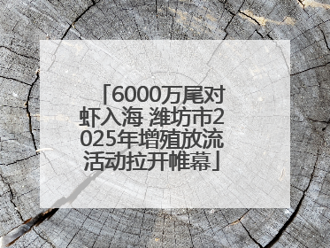 6000万尾对虾入海 潍坊市2025年增殖放流活动拉开帷幕