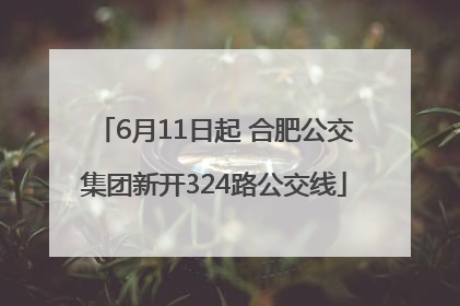 6月11日起 合肥公交集团新开324路公交线