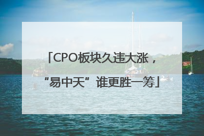 CPO板块久违大涨，“易中天”谁更胜一筹