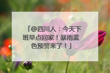 @四川人：今天下班早点回家！暴雨蓝色预警来了！