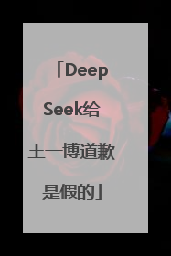 DeepSeek给王一博道歉是假的