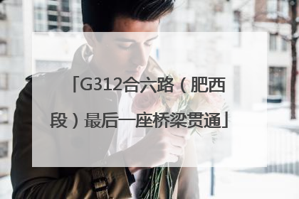 G312合六路（肥西段）最后一座桥梁贯通